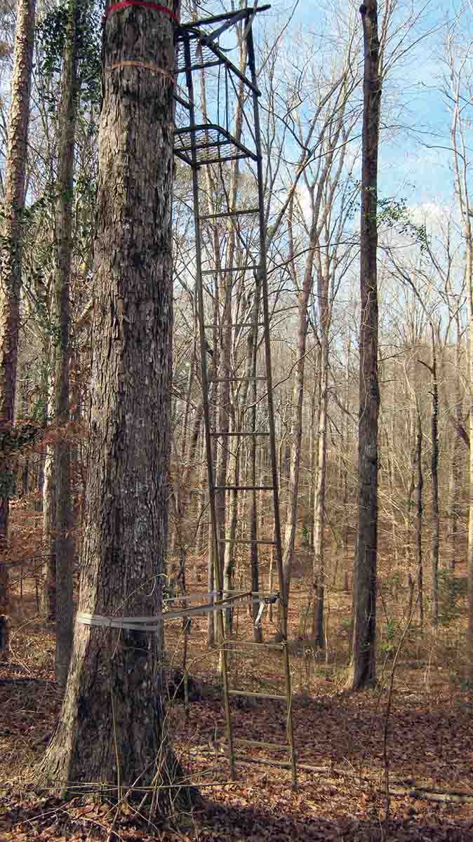 Kinton positioned a ladder stand just behind his house so that he could gain access to it with little disturbance of the surroundings.